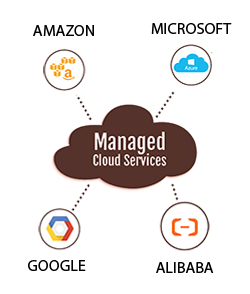 Microsoft azure, Google cloud, Amazon web services, Alibaba cloud, Co-location services with any Indian service providers